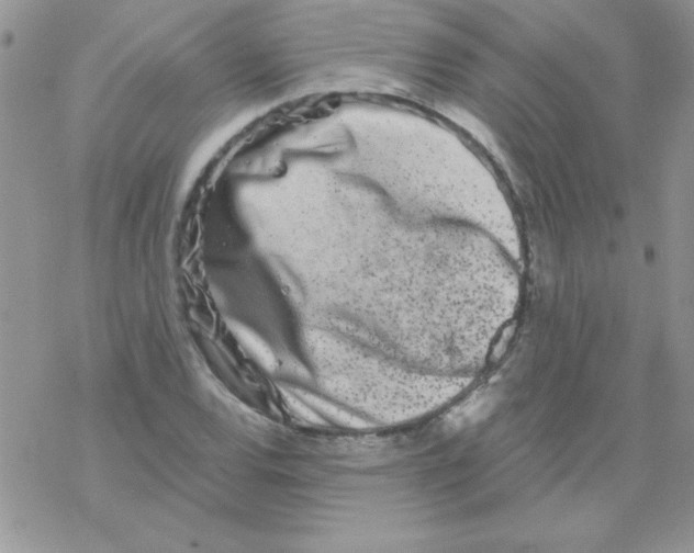 X0000069401120200606091735