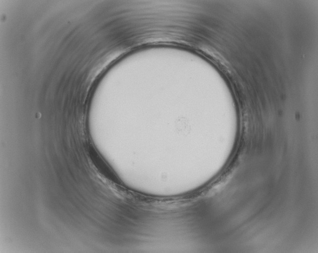 X0000069401121200606091735