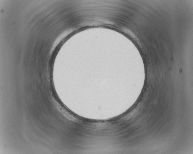 X0000069401122200606091735