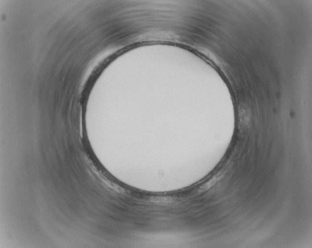 X0000069401123200606091735