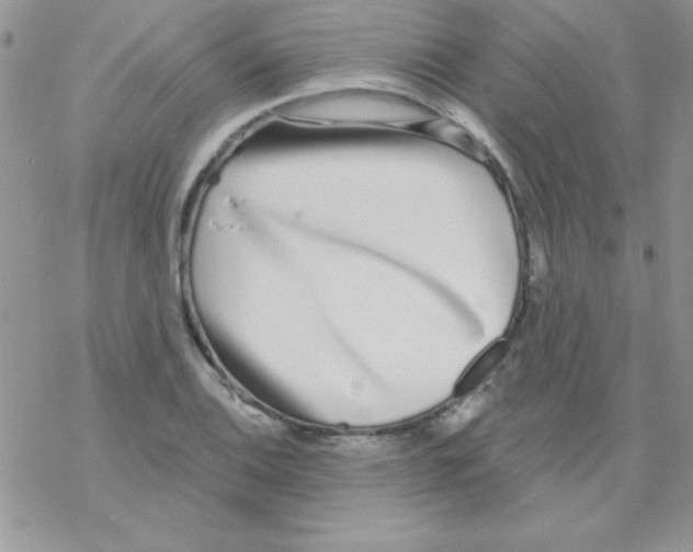 X0000069401124200606091735