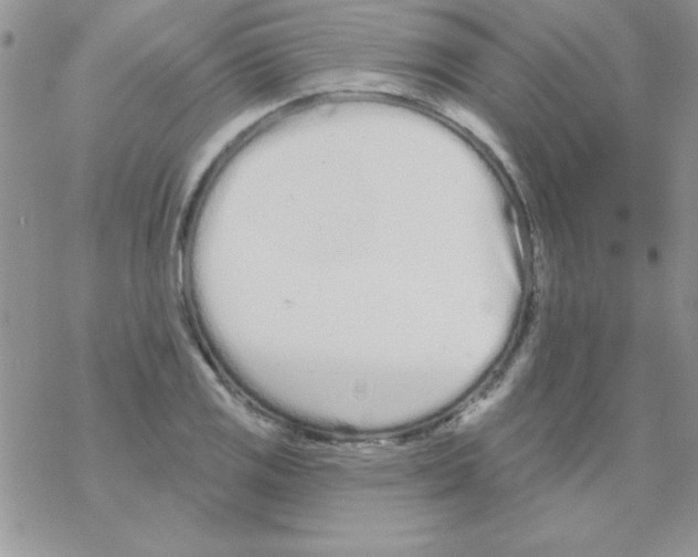 X0000069401125200606091735