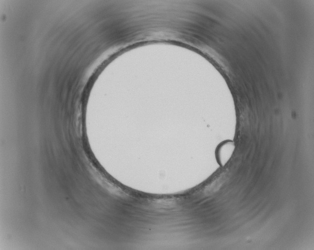 X0000069401126200606091735