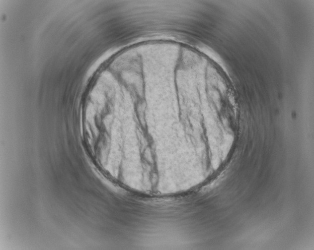 X0000069401127200606091735