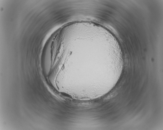 X0000069401128200606091735