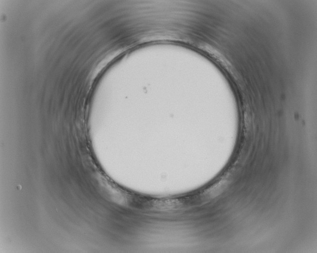 X0000069401129200606091735