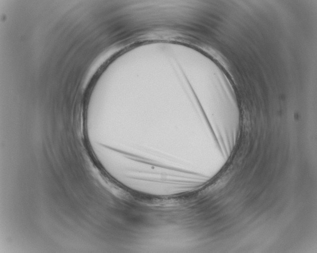 X0000069401131200606091735