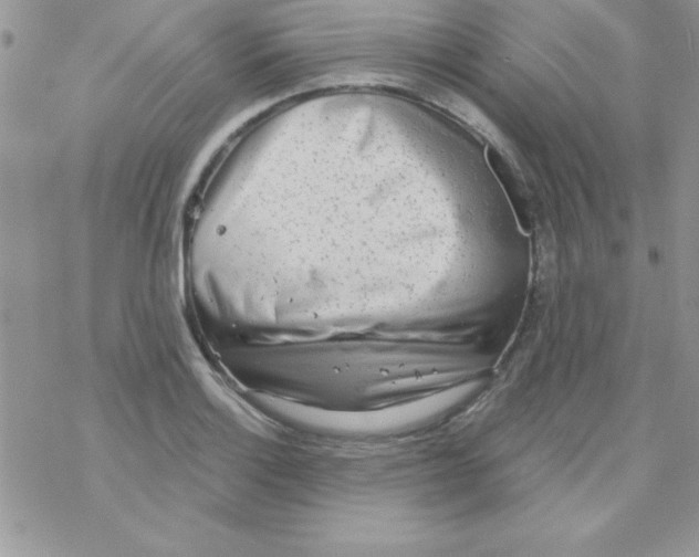 X0000069401132200606091735