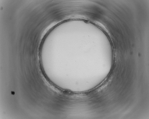 X0000069401133200606091735