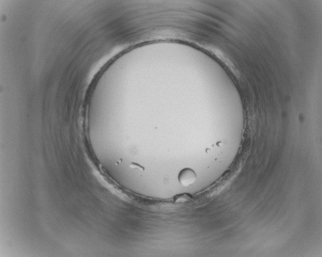 X0000069401134200606091735