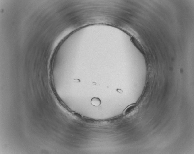 X0000069401135200606091735