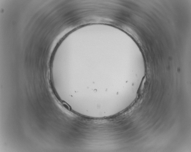 X0000069401136200606091735