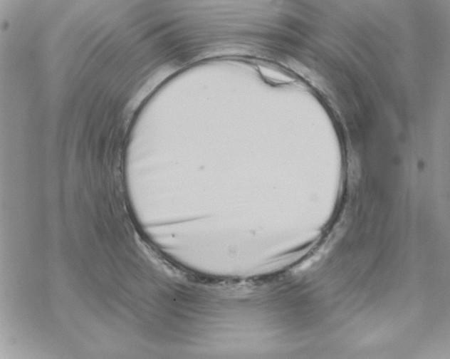 X0000069401137200606091735