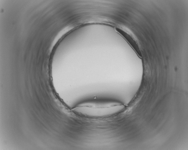 X0000069401138200606091735