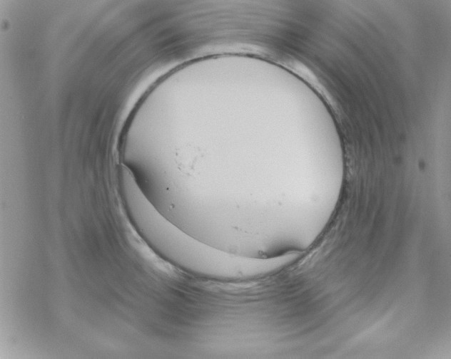 X0000069401140200606091735