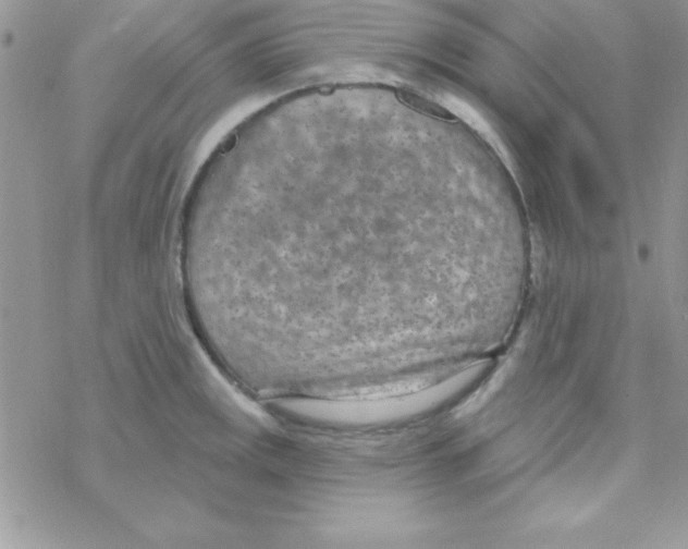 X0000069401141200606091735