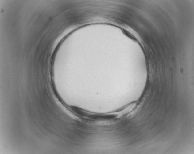 X0000069401142200606091735