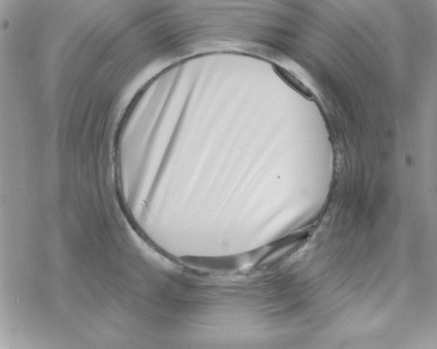 X0000069401143200606091735