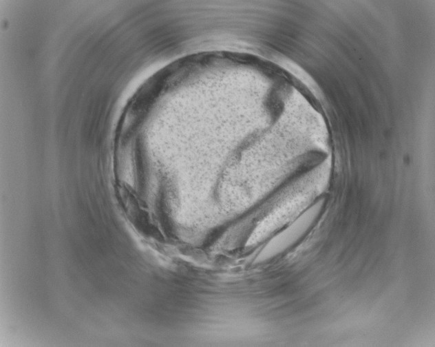 X0000069401144200606091735