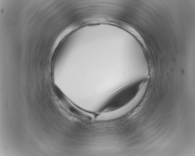 X0000069401146200606091735