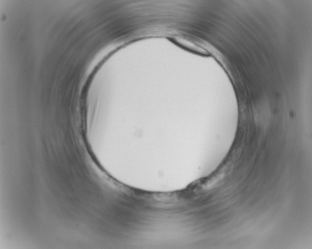 X0000069401147200606091735