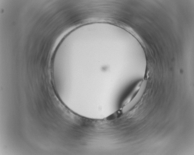 X0000069401148200606091735