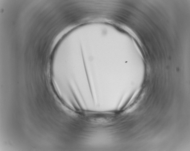 X0000069401149200606091735