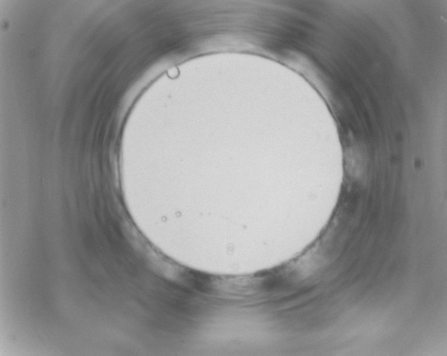 X0000069401150200606091735