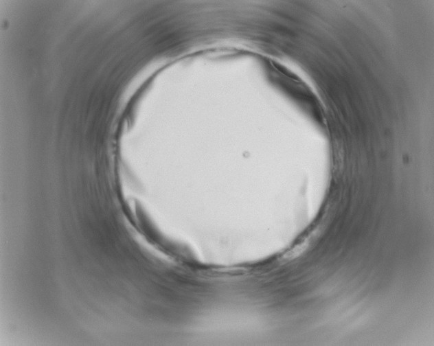 X0000069401151200606091735