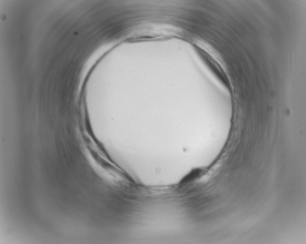 X0000069401152200606091735