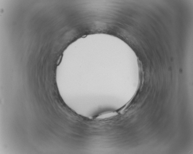 X0000069401153200606091734