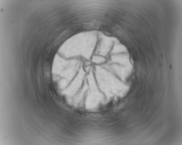 X0000069401154200606091734