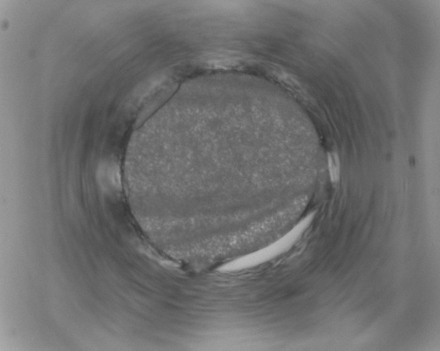 X0000069401155200606091734