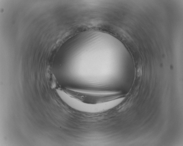 X0000069401156200606091734