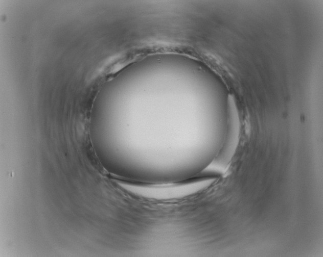 X0000069401157200606091734