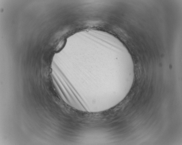 X0000069401158200606091734