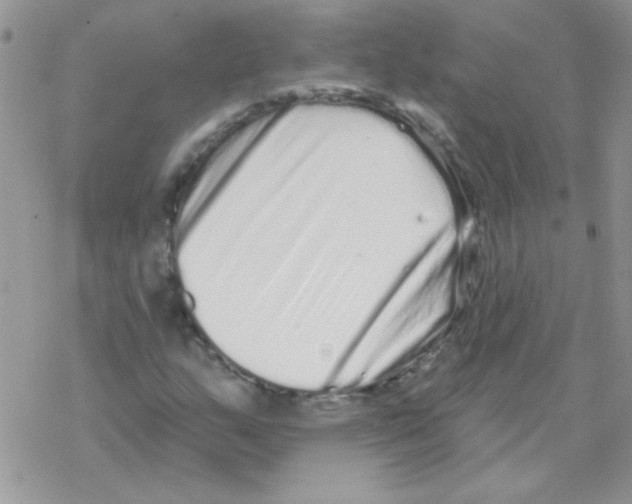 X0000069401159200606091734