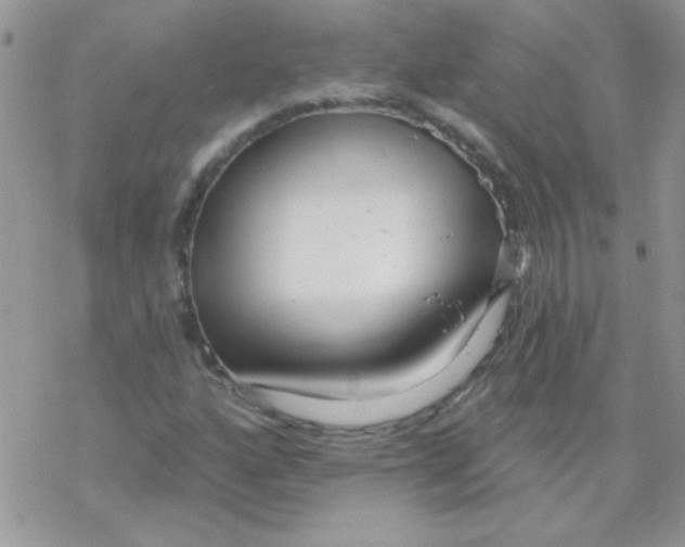 X0000069401160200606091734