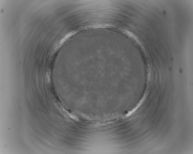 X0000069401161200606091734