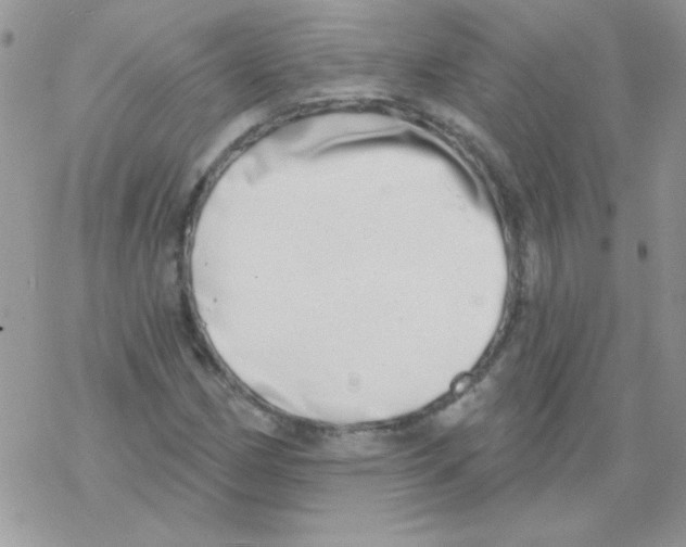 X0000069401162200606091734