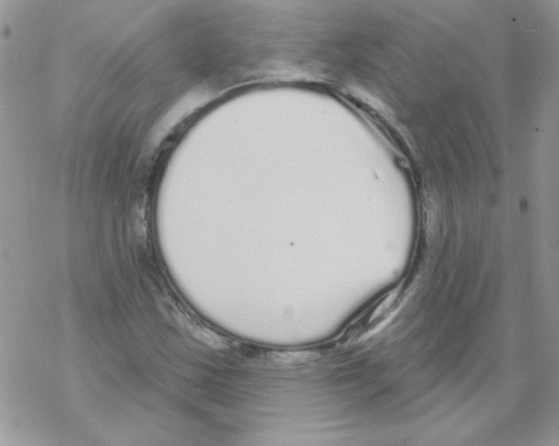 X0000069401163200606091734