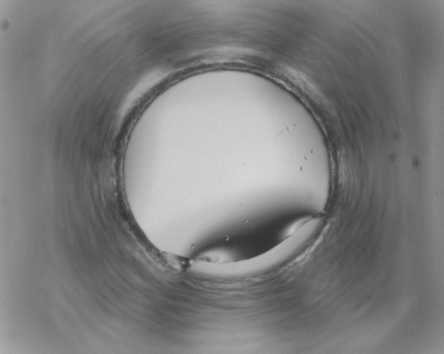 X0000069401164200606091734