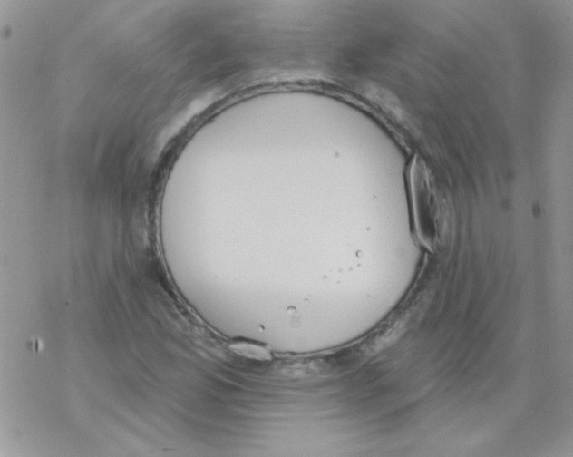 X0000069401165200606091734