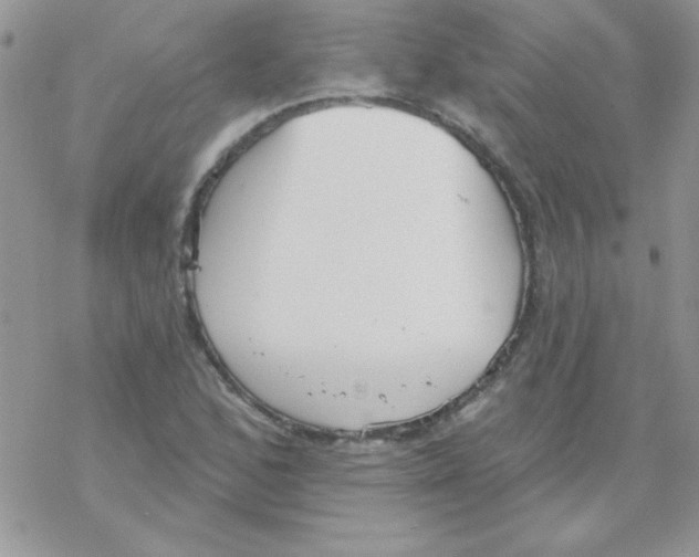 X0000069401168200606091734