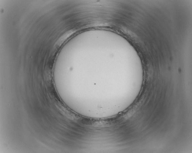 X0000069401169200606091734