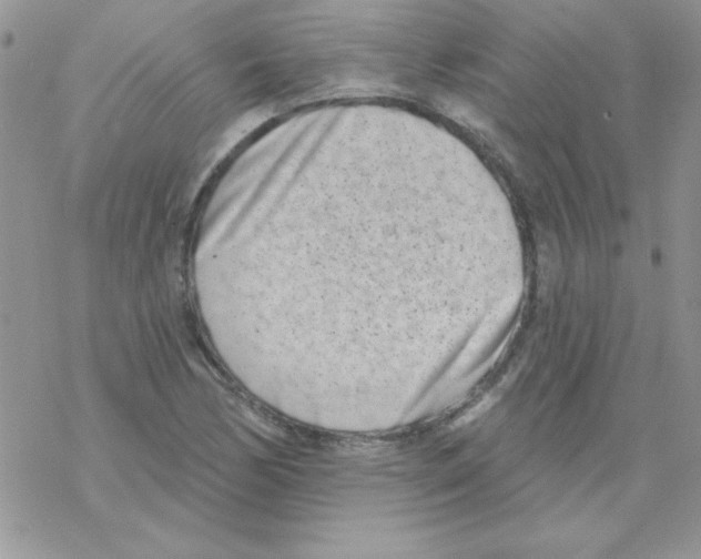 X0000069401170200606091734