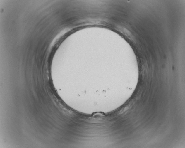 X0000069401172200606091734