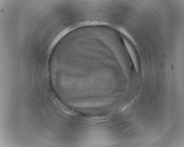 X0000069401173200606091734