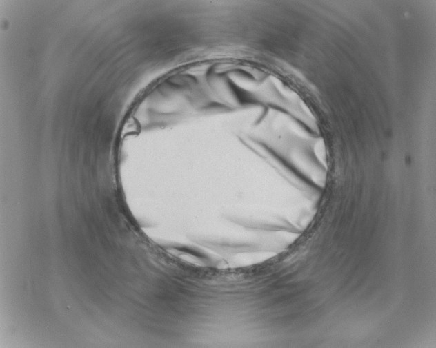 X0000069401174200606091734