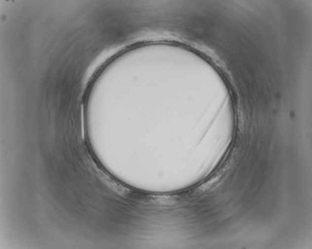 X0000069401175200606091734